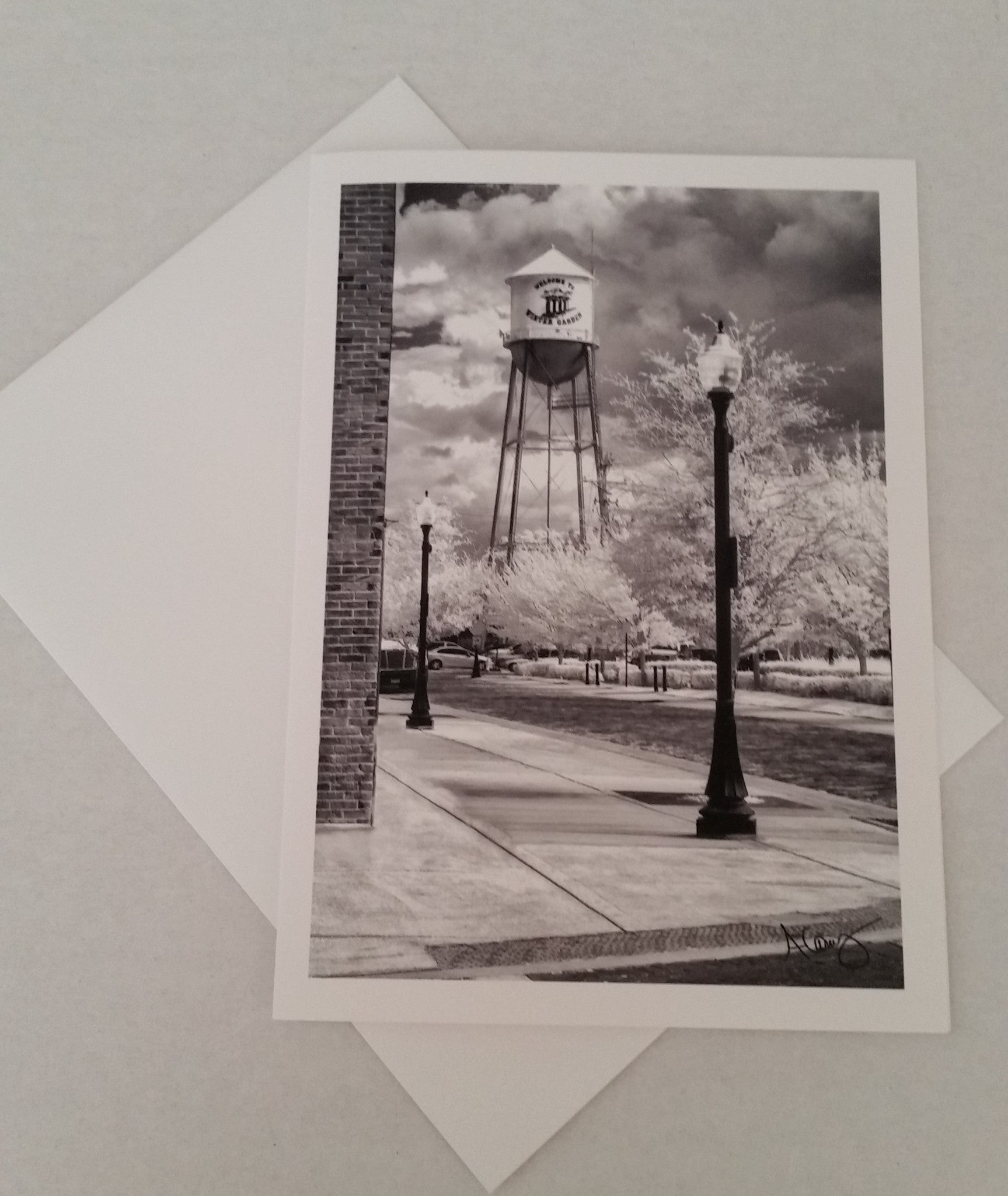 Postcards / Note cards Anna Cary Photography - Our Nation's Creations